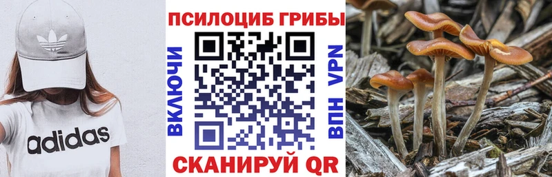 Псилоцибиновые грибы мицелий  Новотроицк 