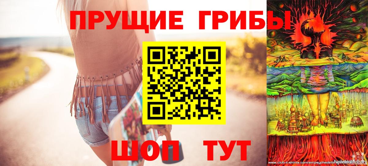 Псилоцибиновые грибы прущие грибы  Псилоцибиновые грибы мухоморы  Вход с VPN  Новотроицк 